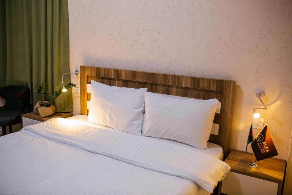 Alfa Hotel Baku Zewnętrze zdjęcie